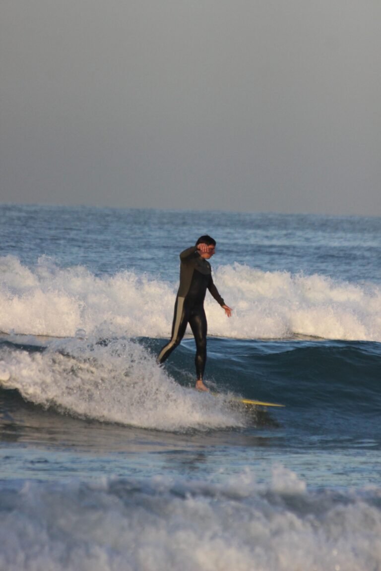 IMG-20250320-WA0017