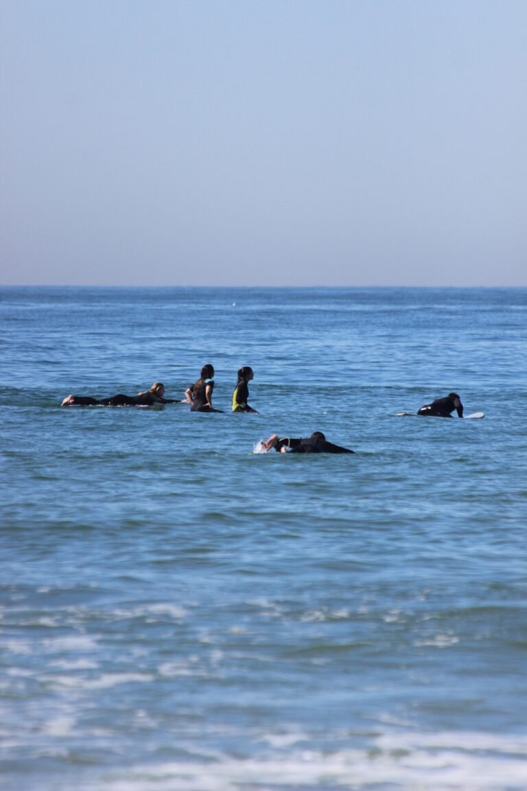 IMG-20250320-WA0018