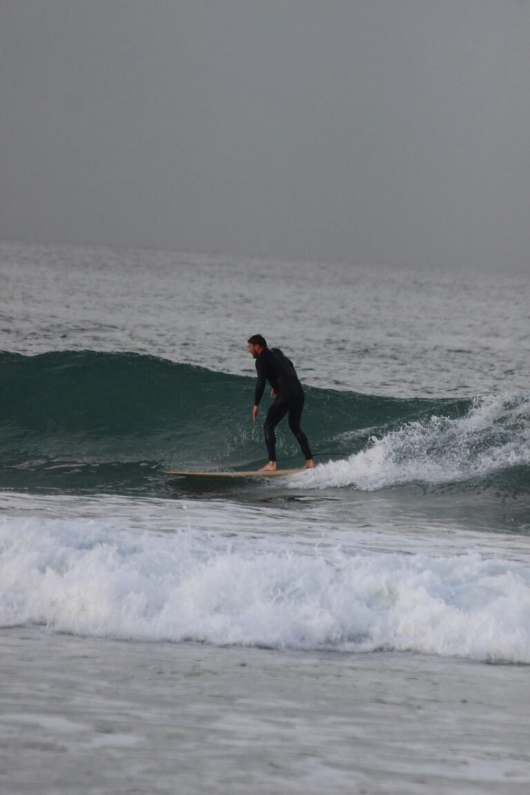 IMG-20250320-WA0019