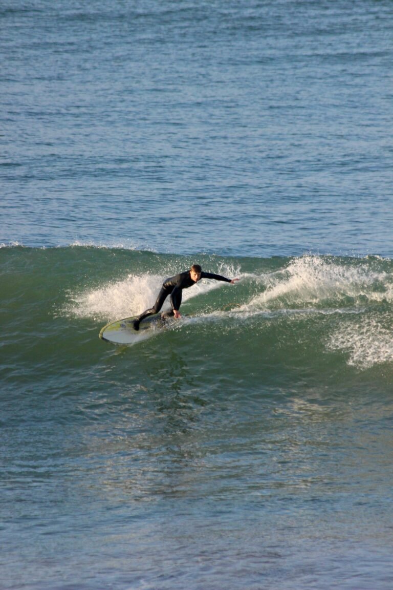 IMG-20250320-WA0021